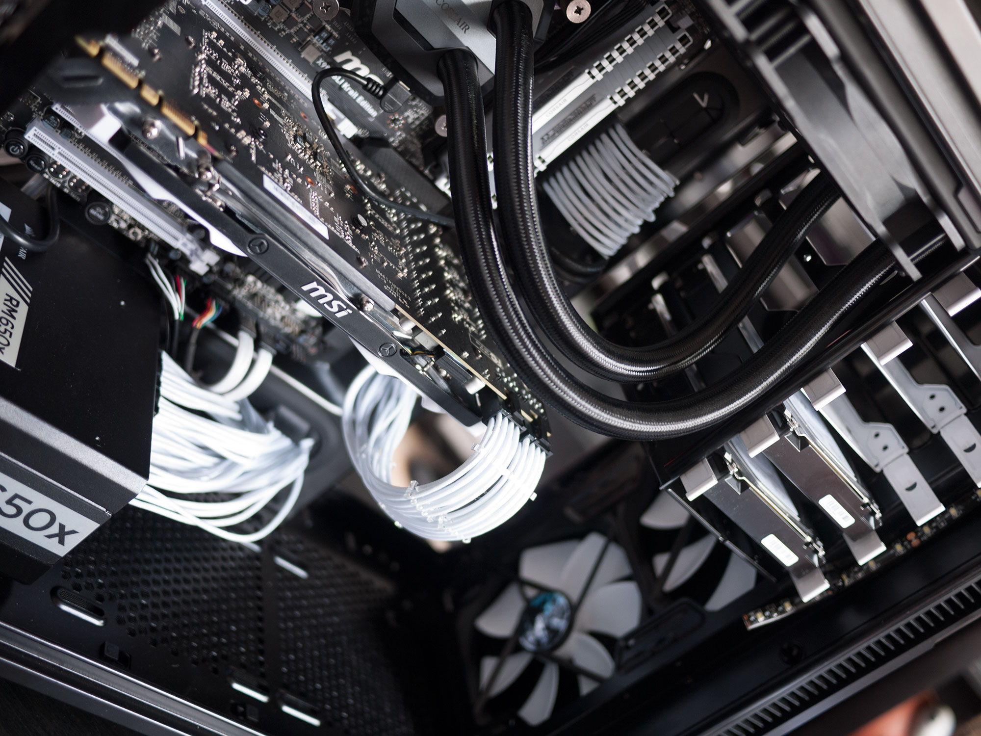 Even the fans are black and white